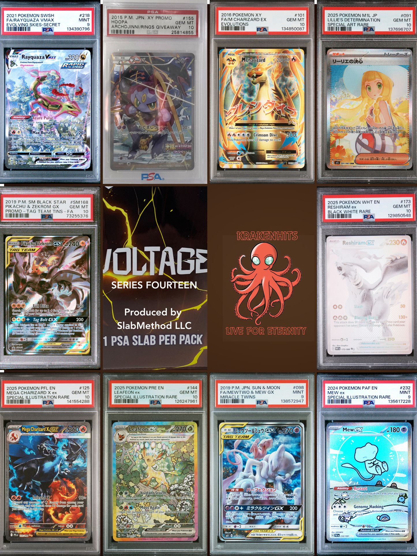Voltage Pokémon Box - Series 14