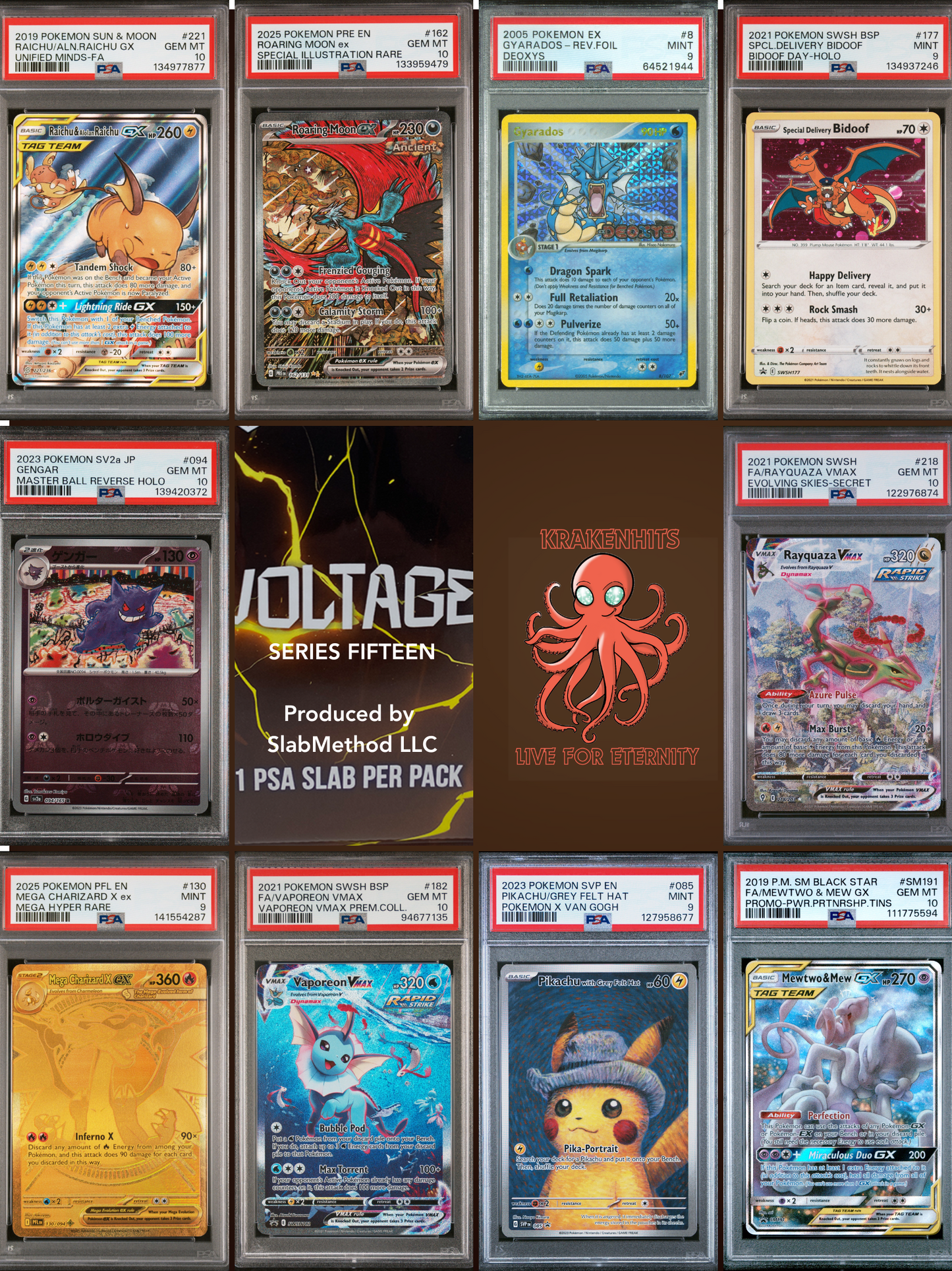 Voltage Pokémon Box - Series 15